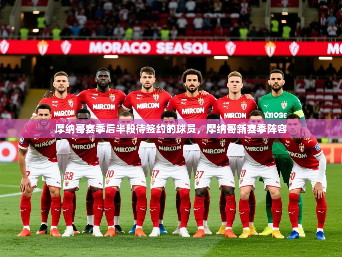摩纳哥赛季后半段待签约的球员,摩纳哥新赛季阵容 第4张