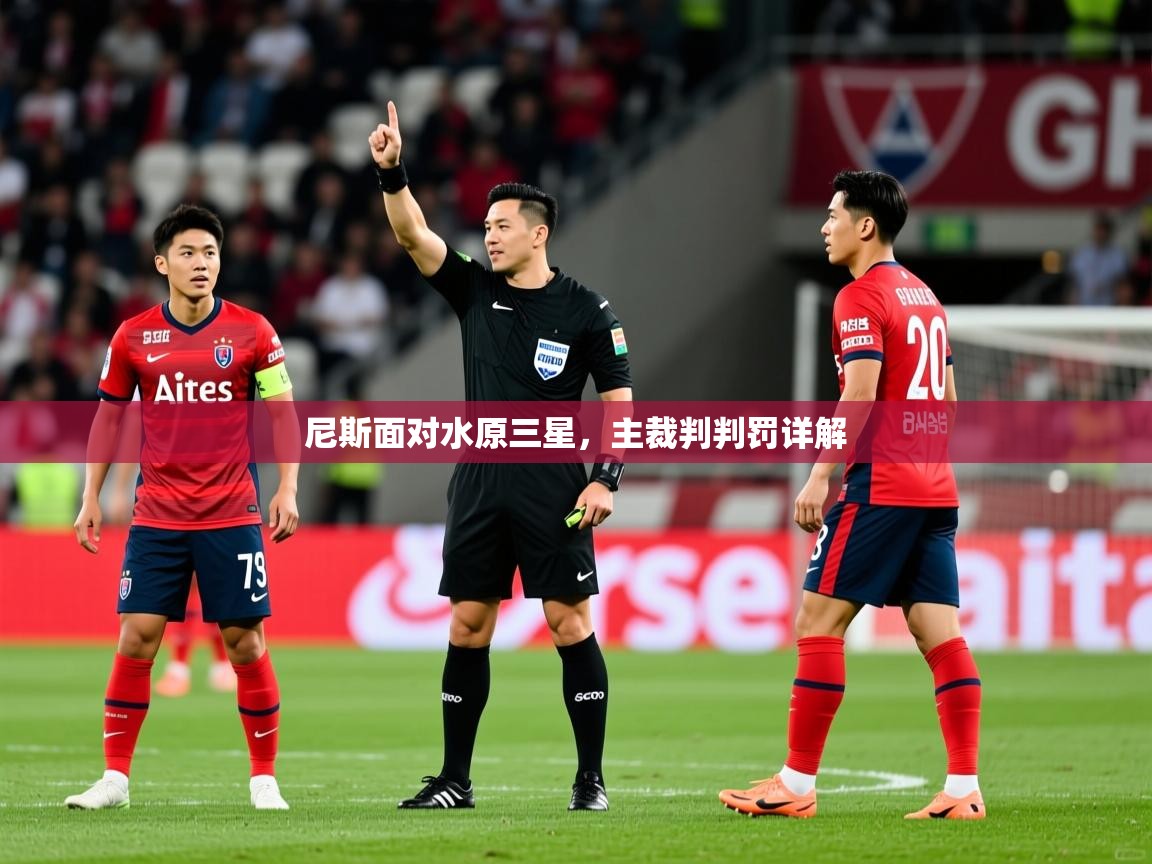 尼斯面对水原三星,主裁判判罚详解 第1张