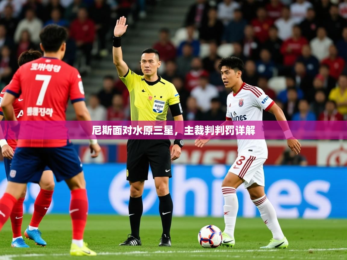 尼斯面对水原三星,主裁判判罚详解 第2张