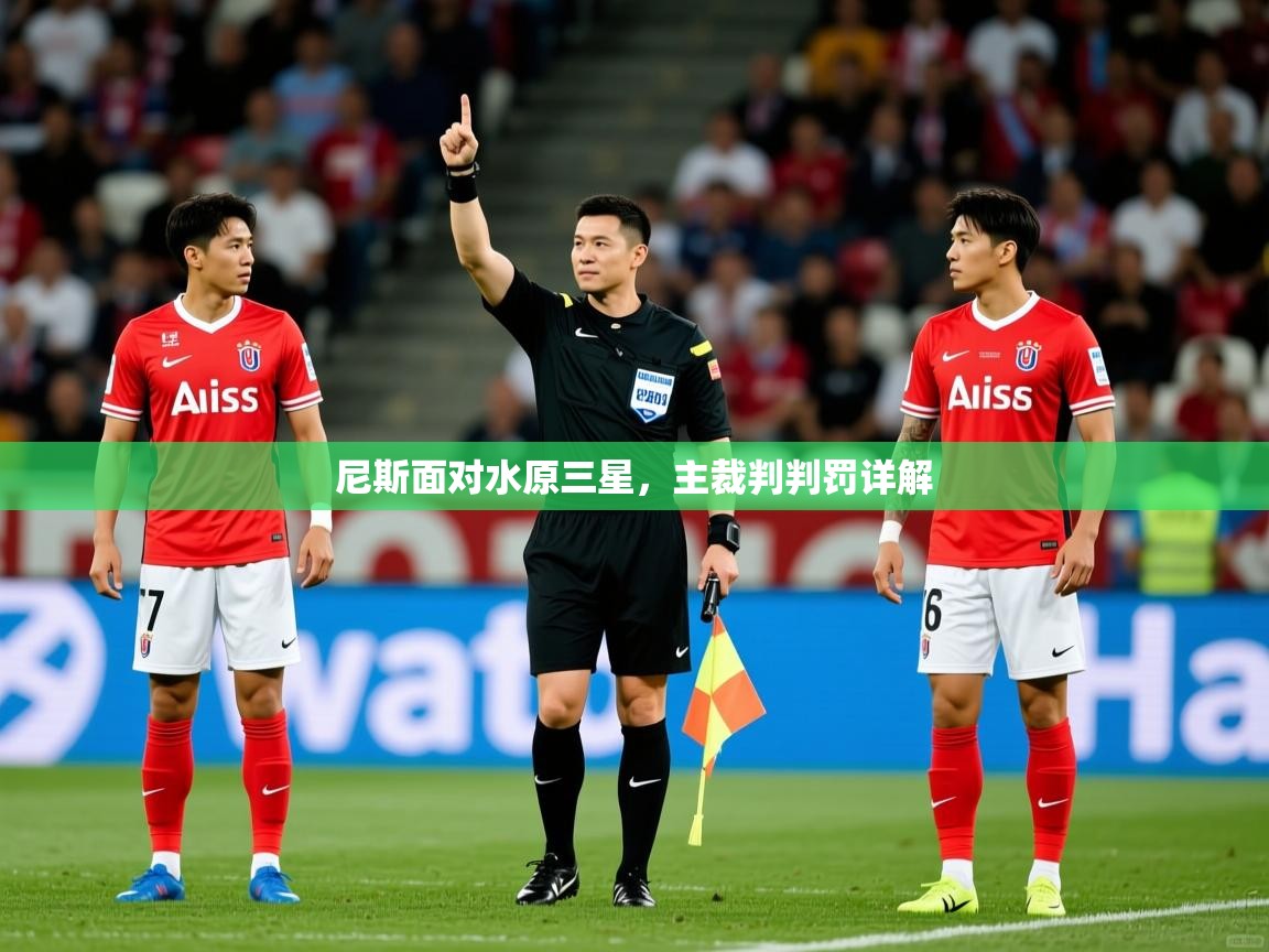尼斯面对水原三星,主裁判判罚详解 第3张