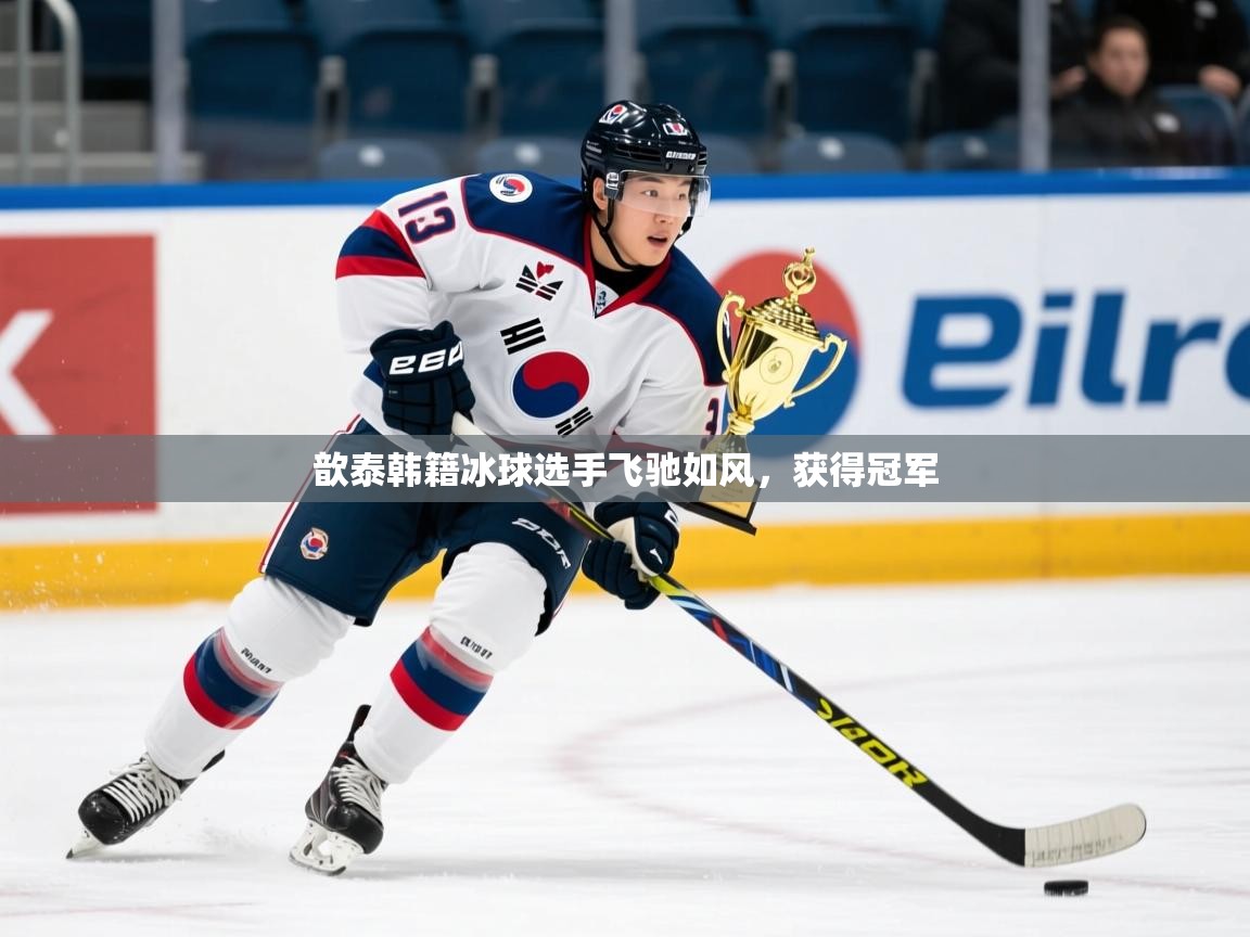 歆泰韩籍冰球选手飞驰如风，获得冠军  第2张
