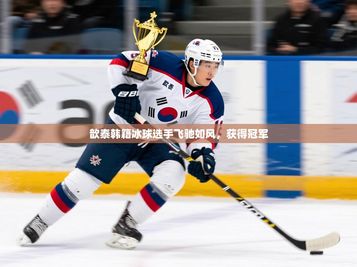 歆泰韩籍冰球选手飞驰如风，获得冠军  第4张