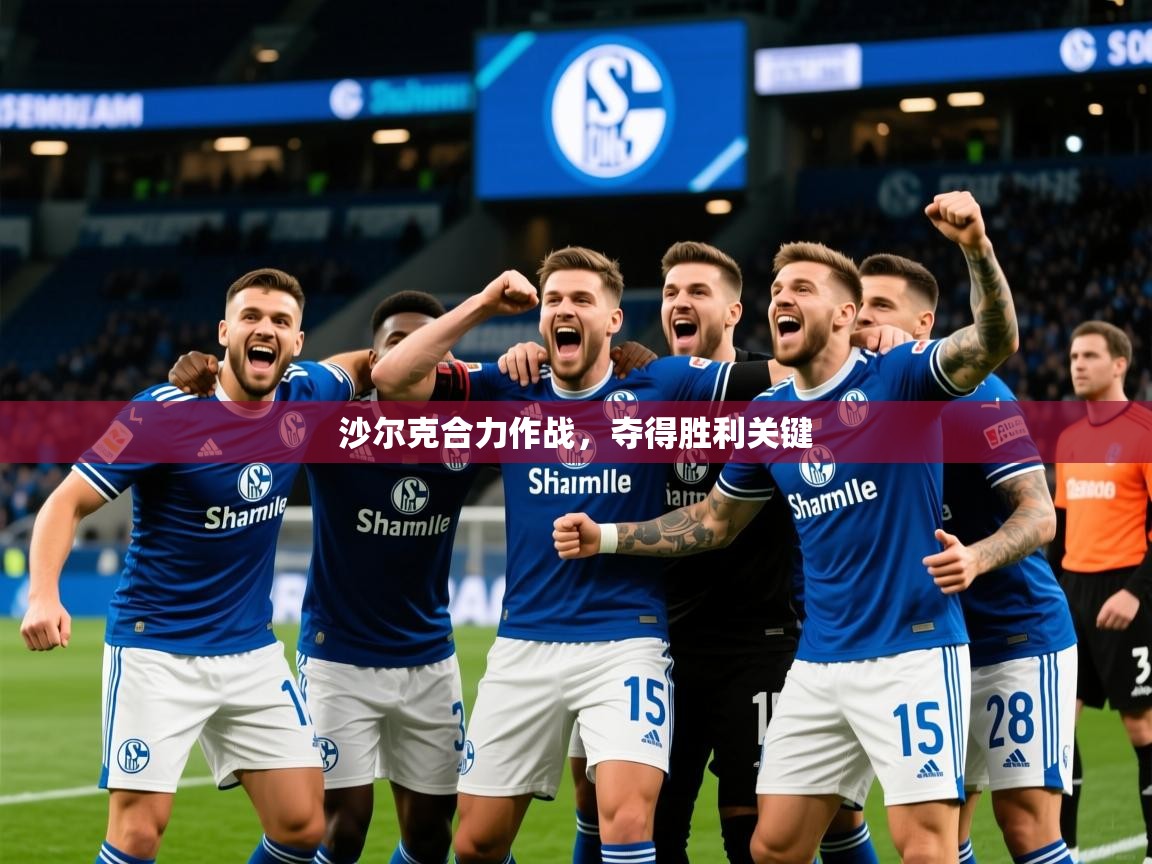 沙尔克合力作战，夺得胜利关键  第4张