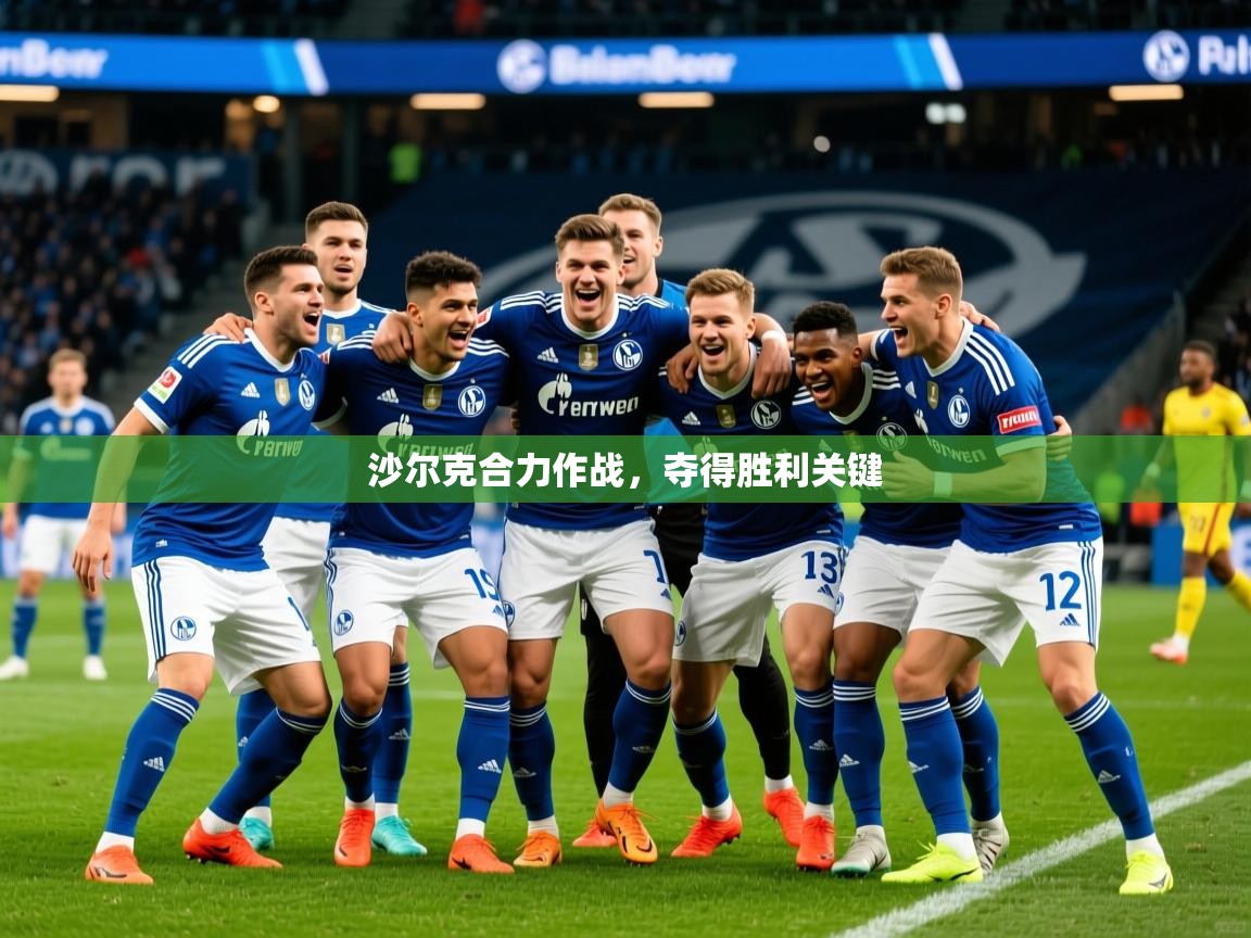 沙尔克合力作战，夺得胜利关键  第3张